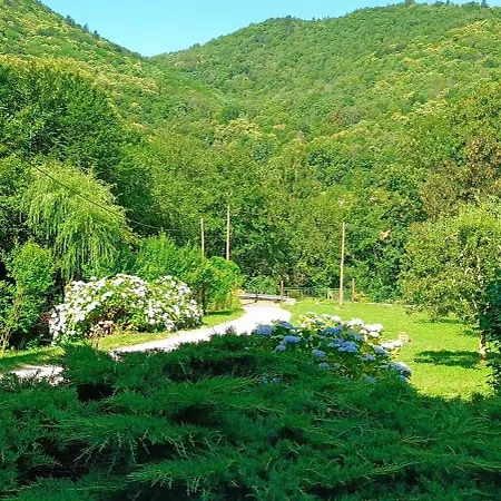 Le Village Champignon * アスペ