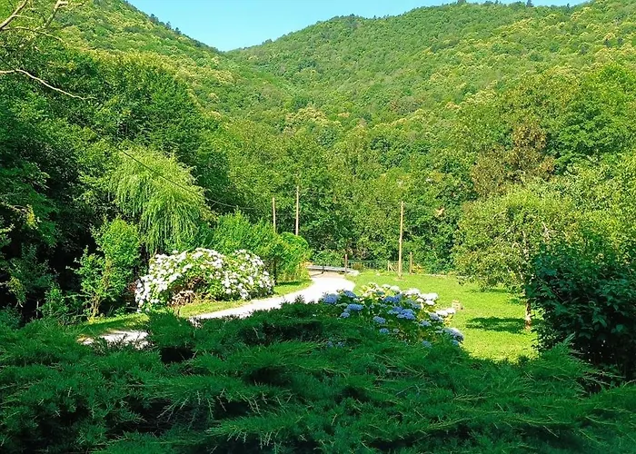 Le Village Champignon * アスペ