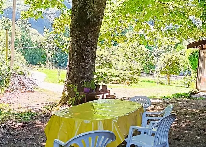 別荘 Le Village Champignon