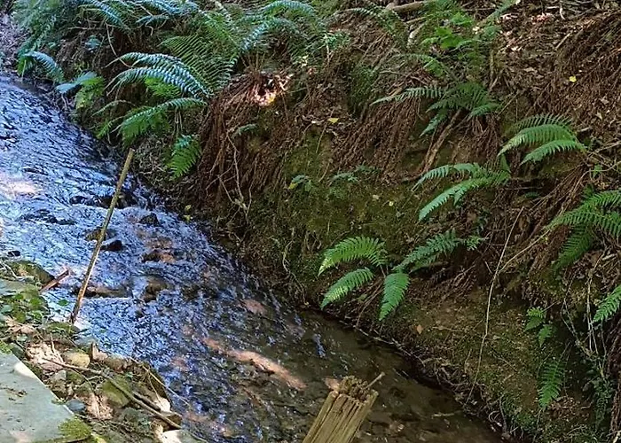 Le Village Champignon 別荘 *